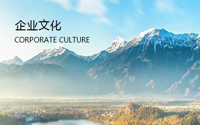 bevictor伟德官网·(中国)唯一官方网站